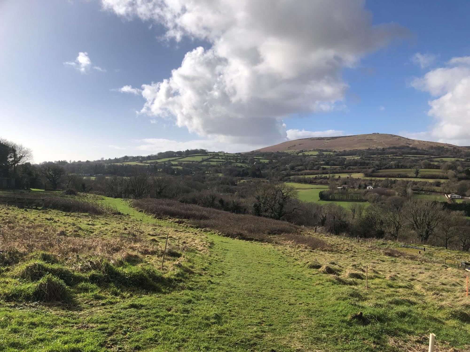 Stags View,Unique Eco Cabin, Dartmoor Views South Brent Exterior foto